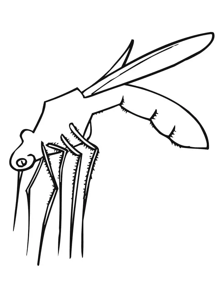 Mosquito Coloring Pages 32