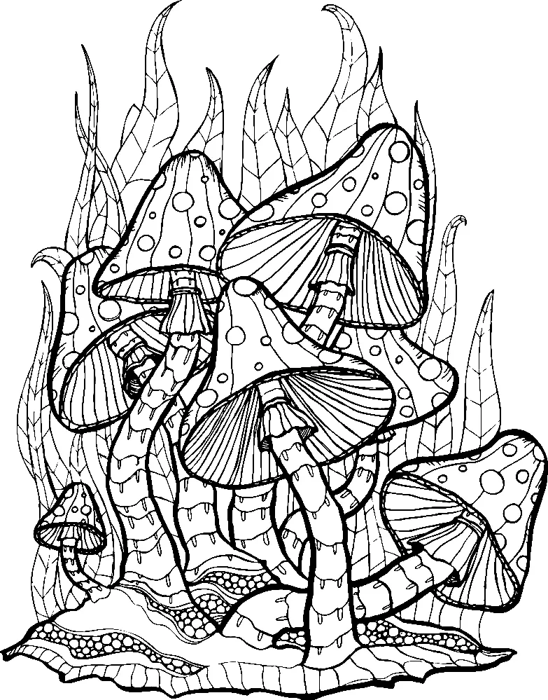 Mushroom Coloring Pages 156