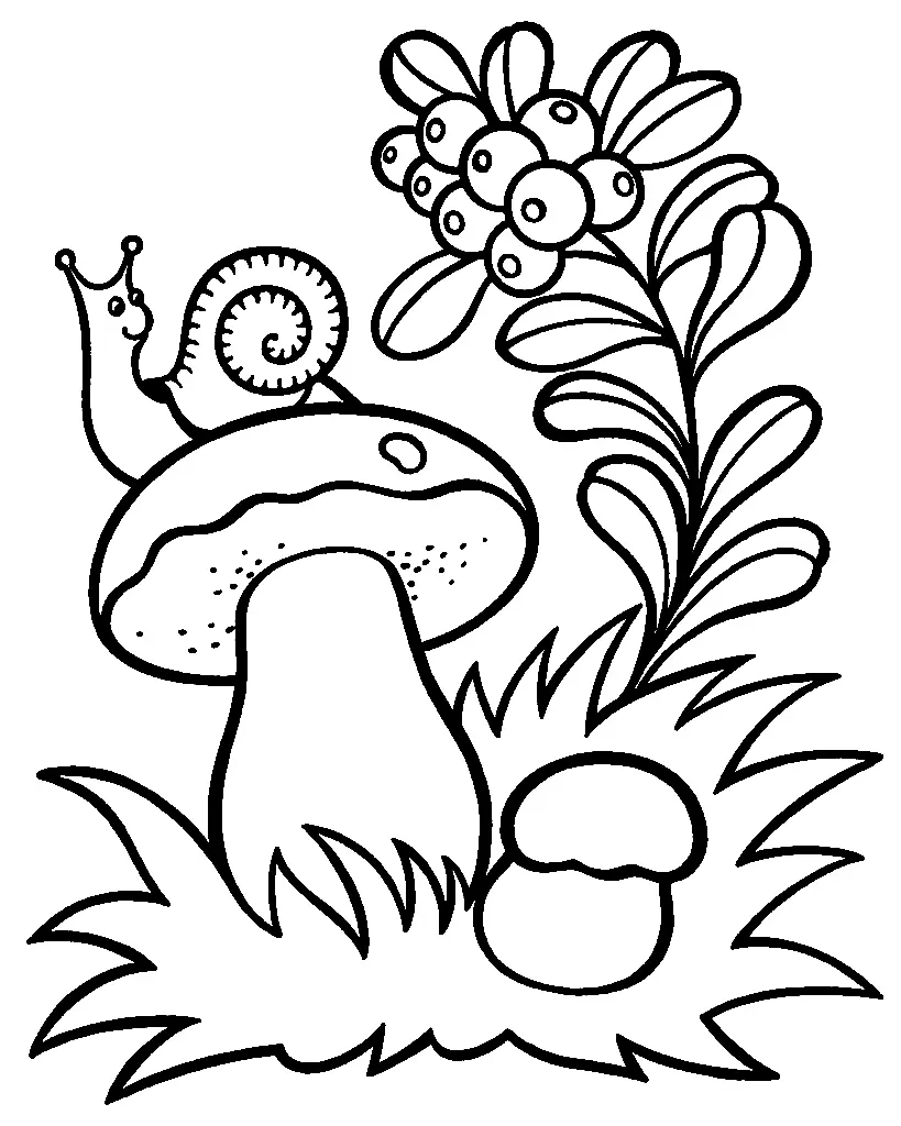 Mushroom Coloring Pages 98