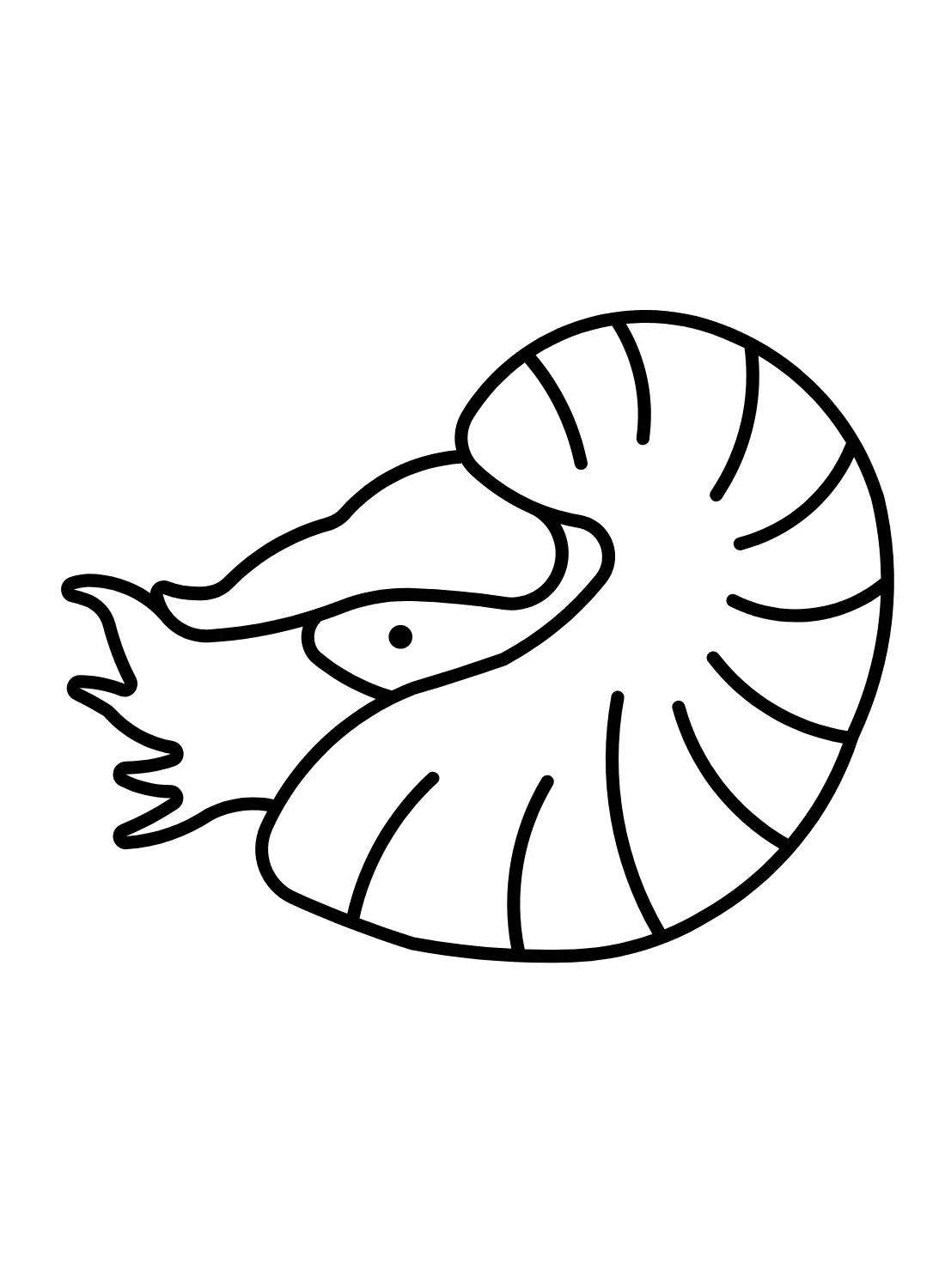 Nautilus Para Colorear 11