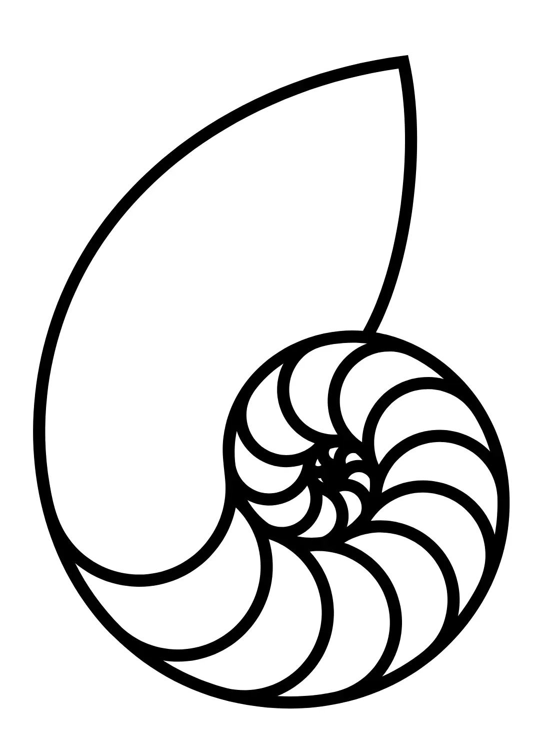 Desenhos de Nautilus Para Colorir 13