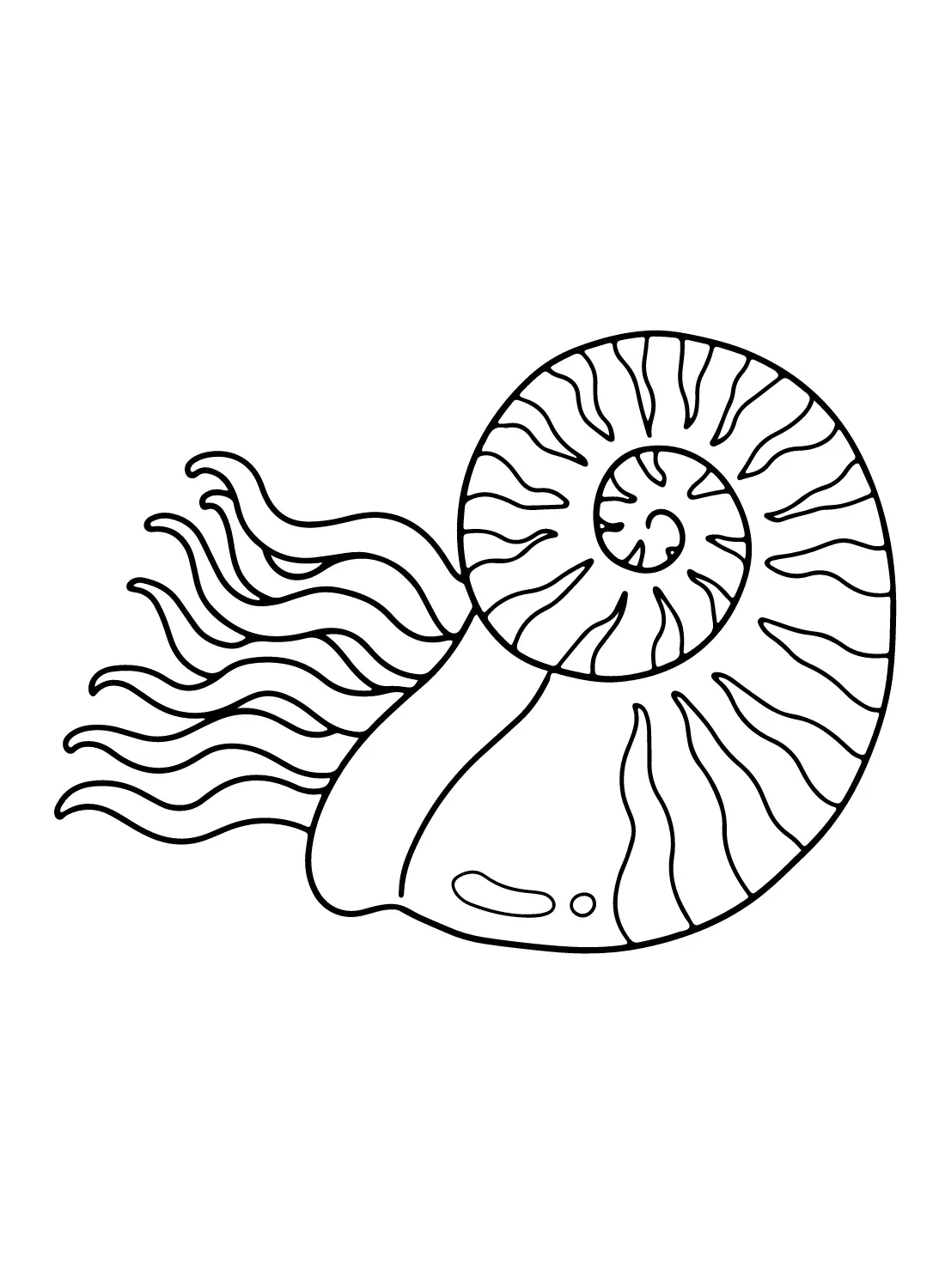 Nautilus Para Colorear 14