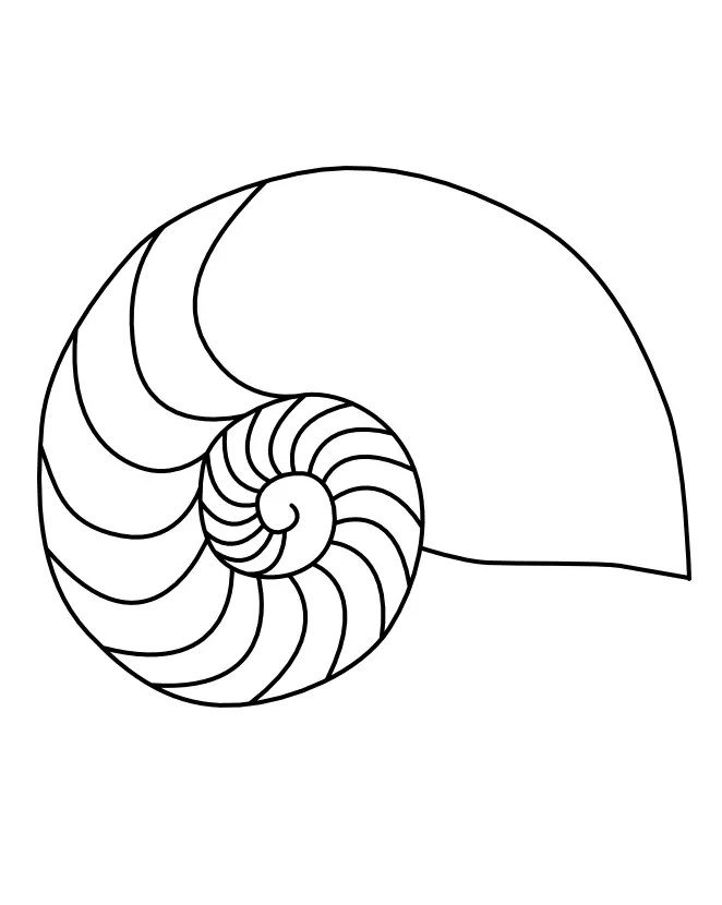 Nautilus Para Colorear 2