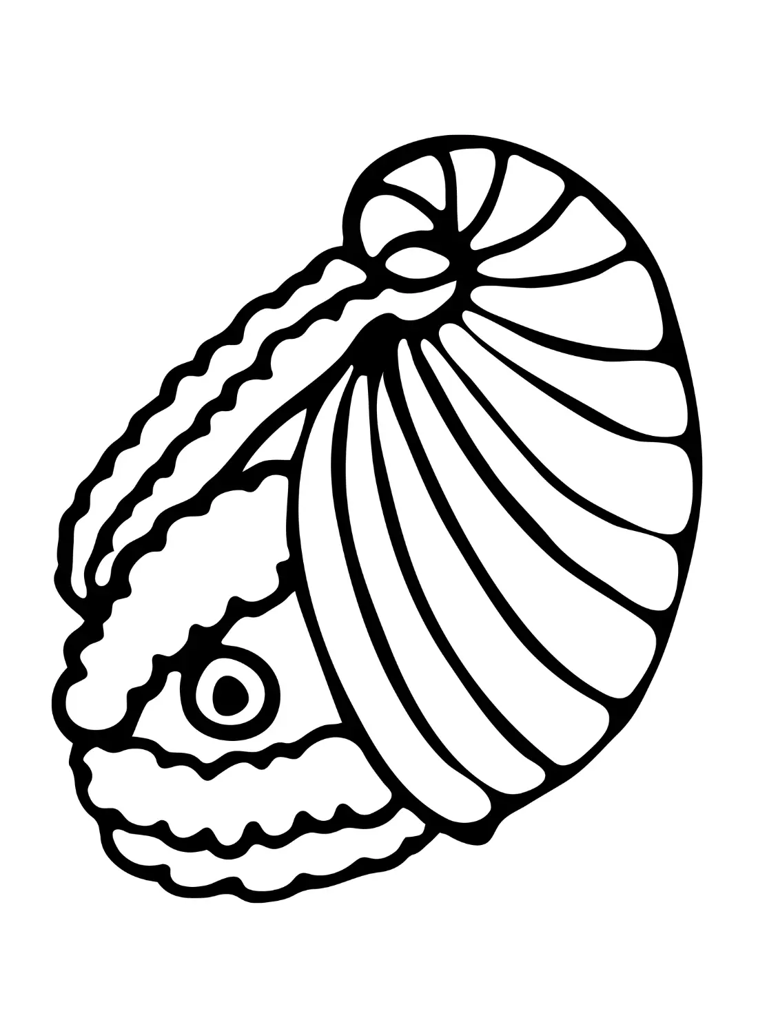 Nautilus Para Colorear 9