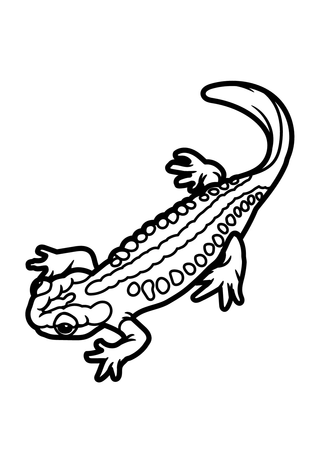 Newt Coloring Pages