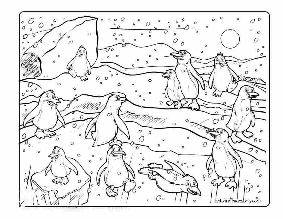 North and South poles Coloring Pages 24