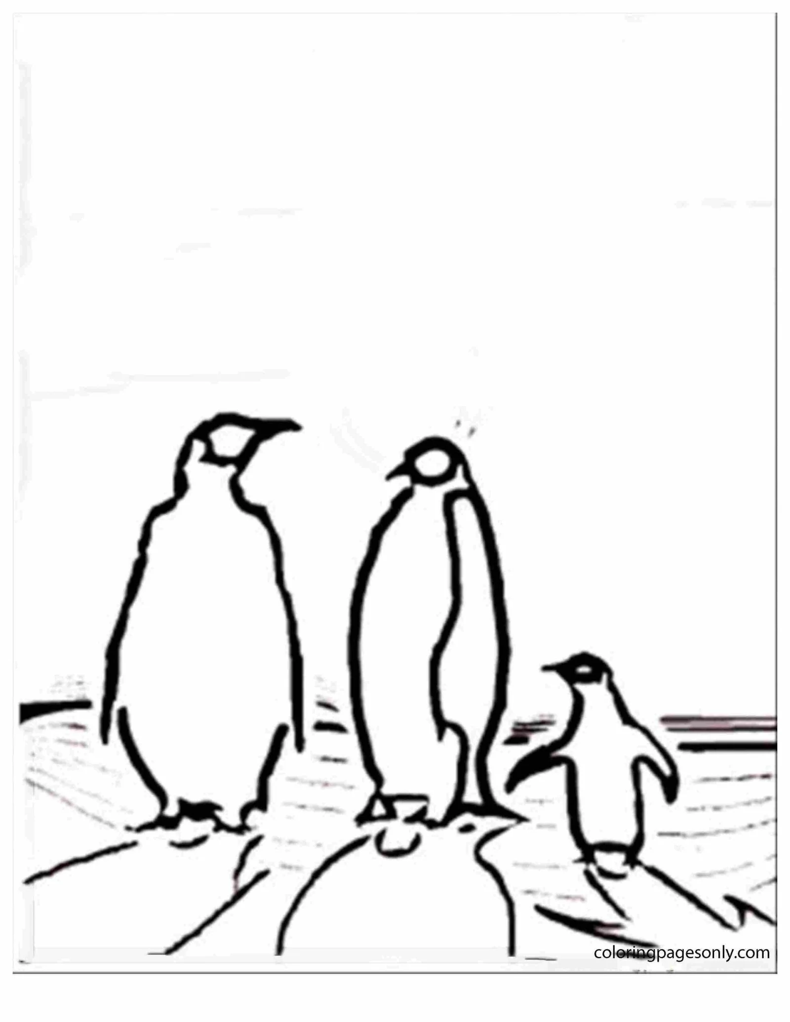 North and South poles Coloring Pages 37