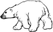 North and South poles Coloring Pages 9