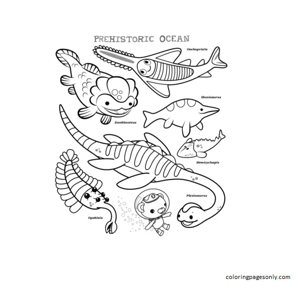 Octonauts Para Colorear 68