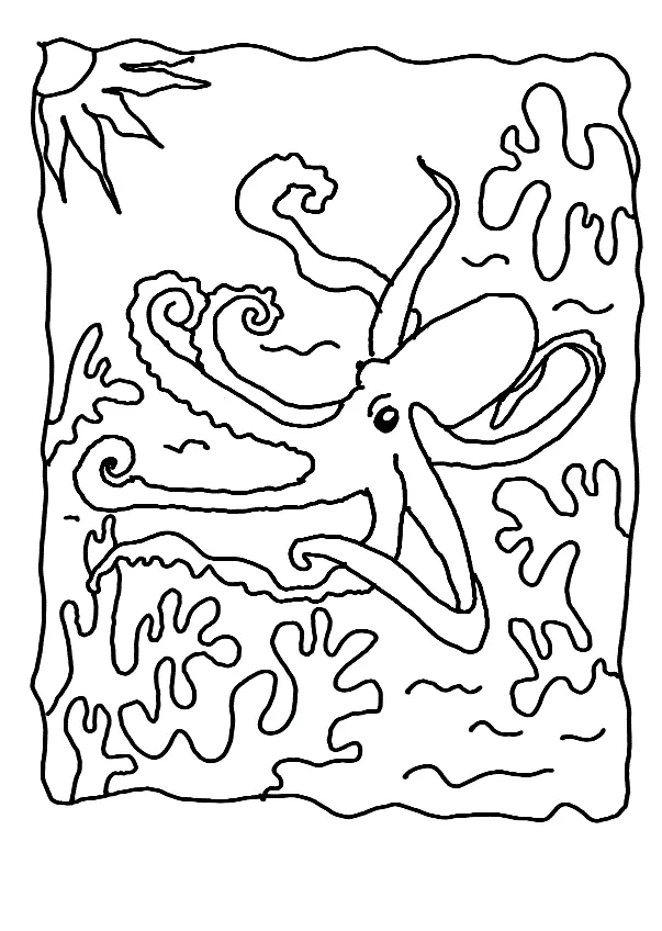 Pulpo Para Colorear 82
