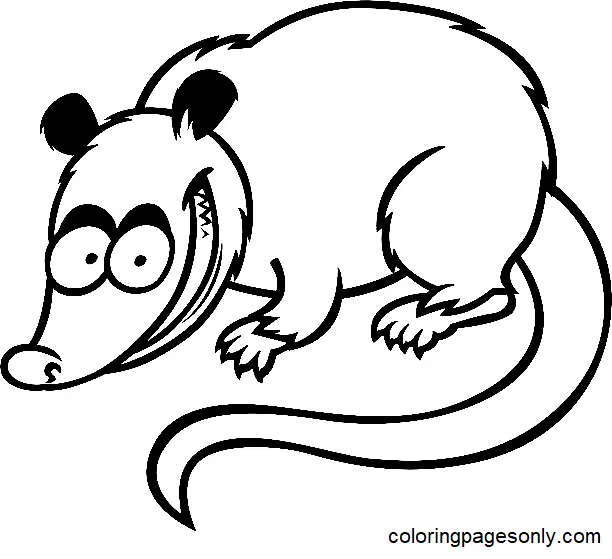 Opossum Coloring Pages 2