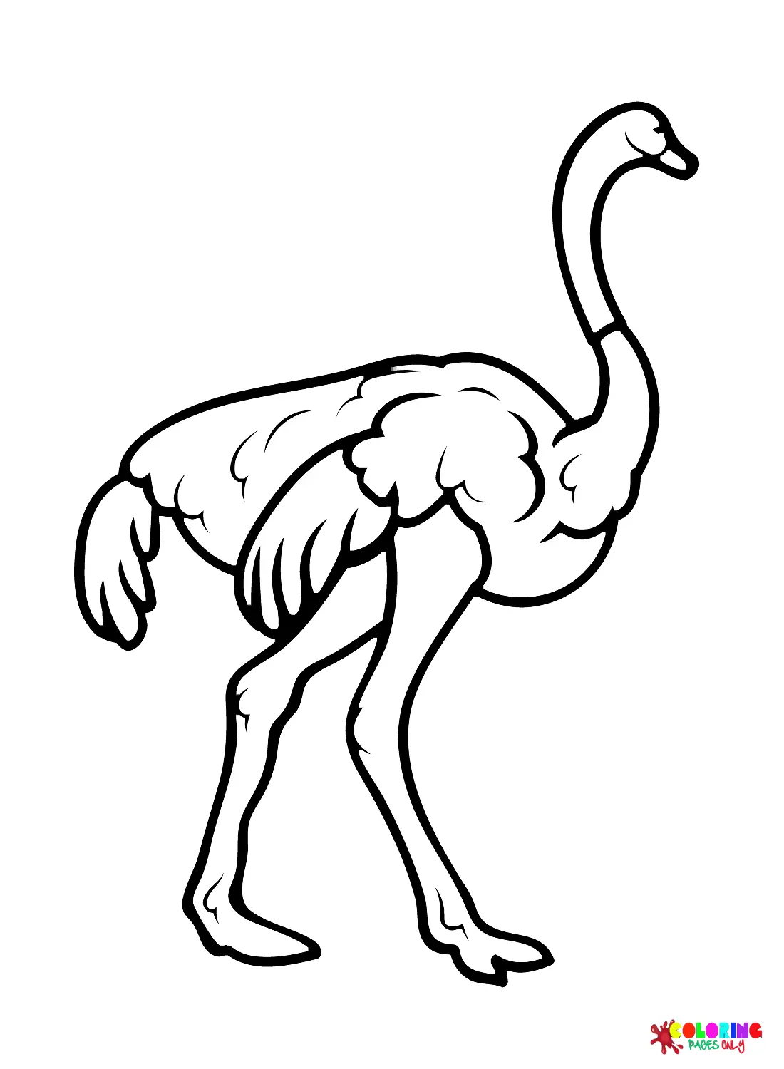 Ostrich Coloring Pages