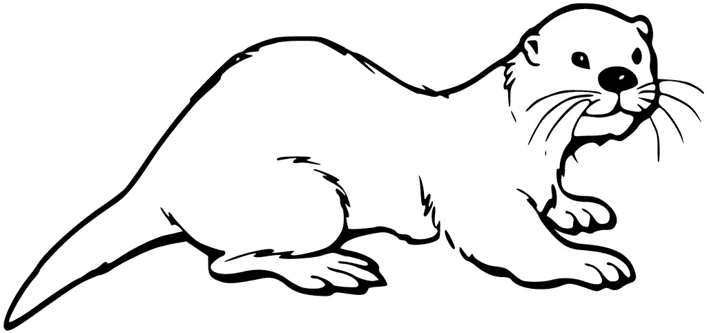 Desenhos de Lontras Para Colorir 53