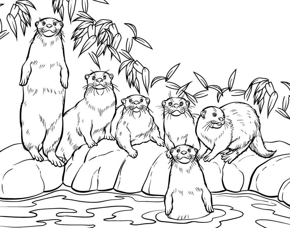 Desenhos de Lontras Para Colorir 72