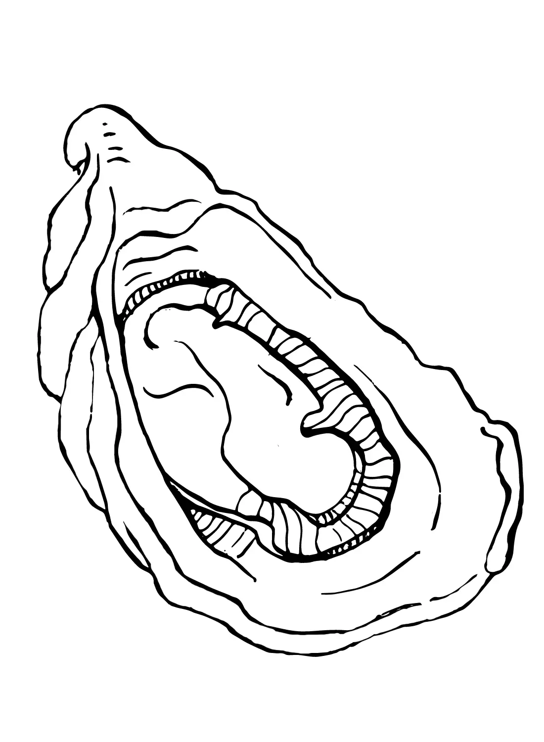 Oyster Coloring Pages 2