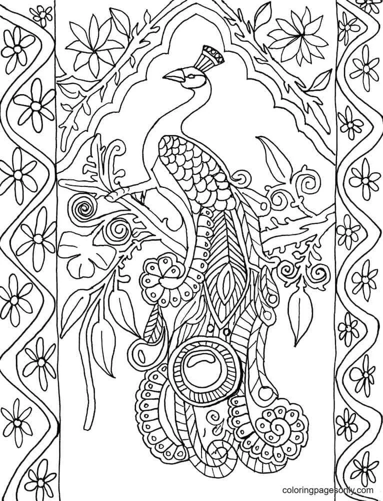 Peacock Coloring Pages 11