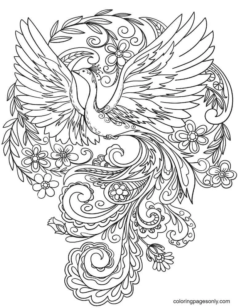 Peacock Coloring Pages 20