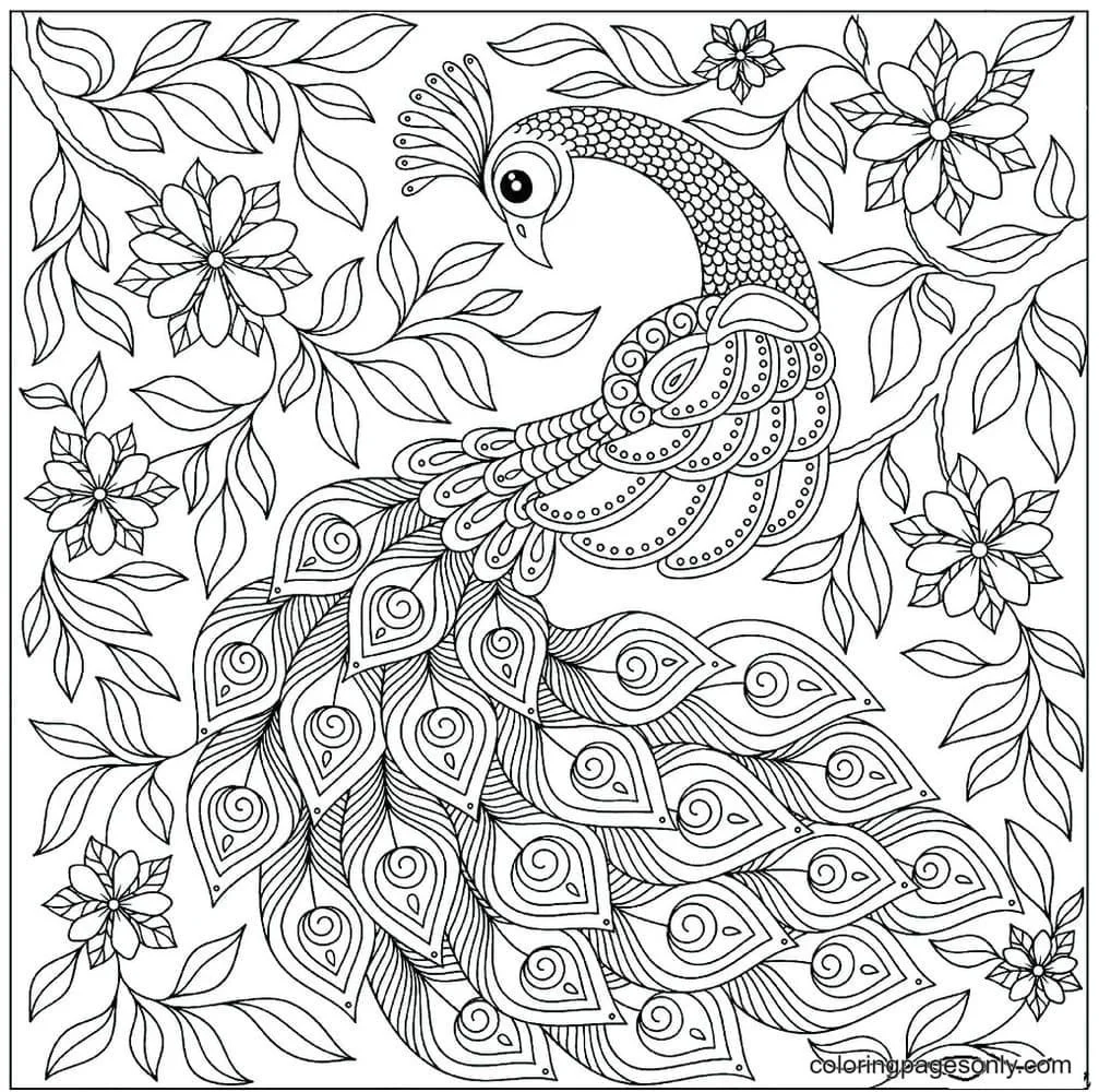 Peacock Coloring Pages 21