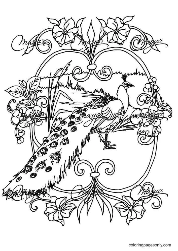 Peacock Coloring Pages 22