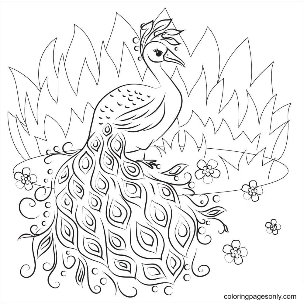 Peacock Coloring Pages 28