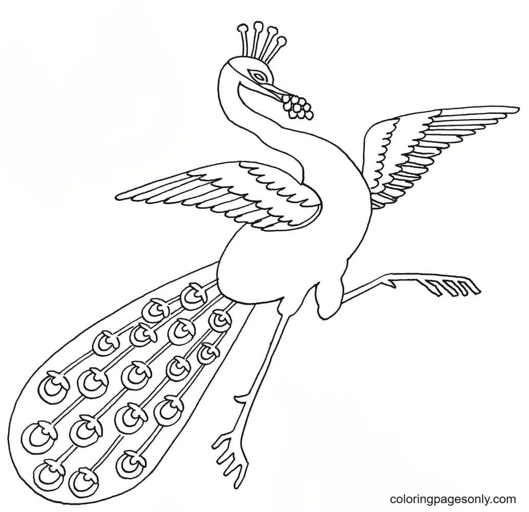 Peacock Coloring Pages 30