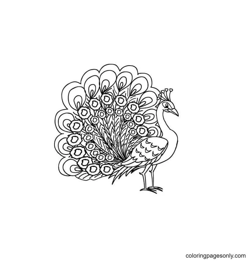 Peacock Coloring Pages 34