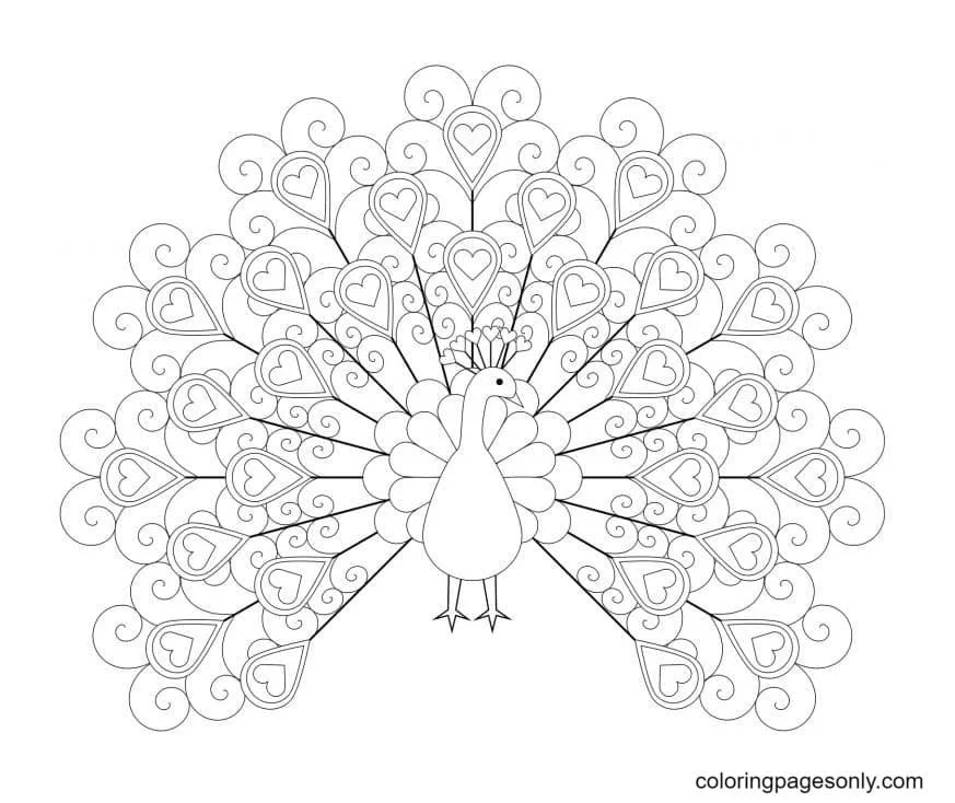 Peacock Coloring Pages 36