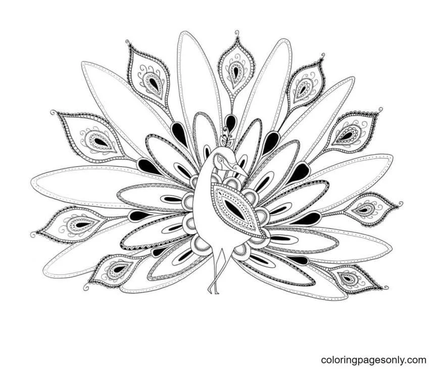 Peacock Coloring Pages 41