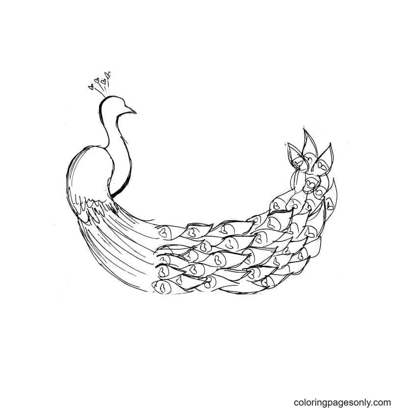 Peacock Coloring Pages 45