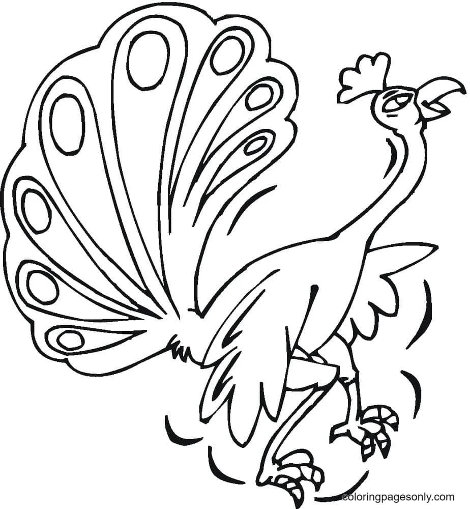 Peacock Coloring Pages 46