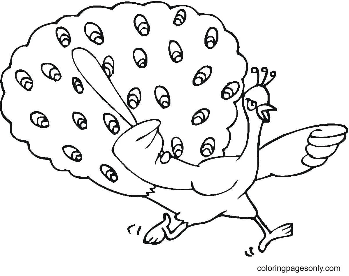 Peacock Coloring Pages 47