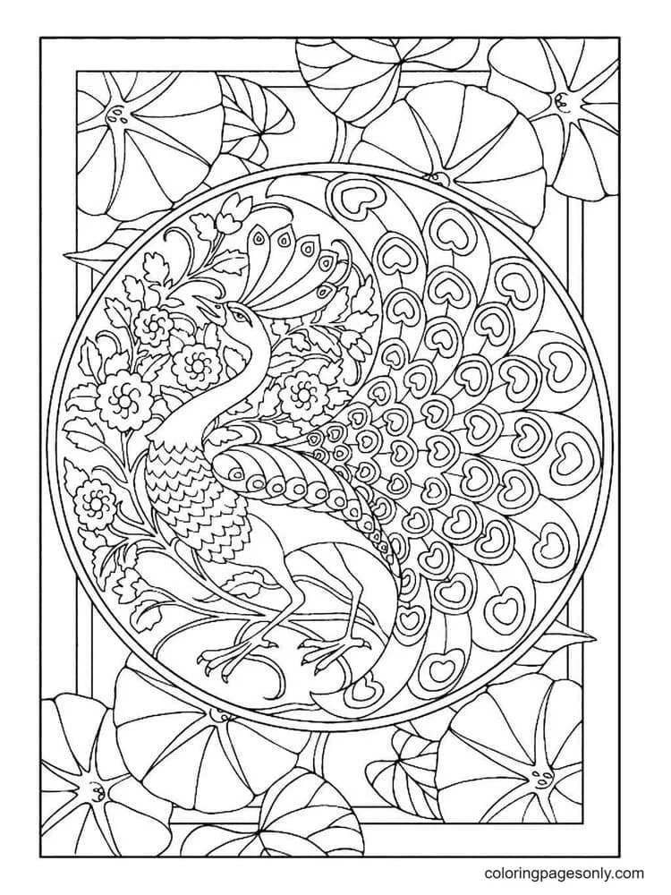 Peacock Coloring Pages 5