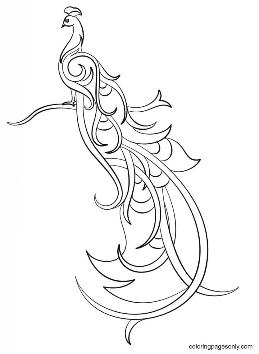 Peacock Coloring Pages