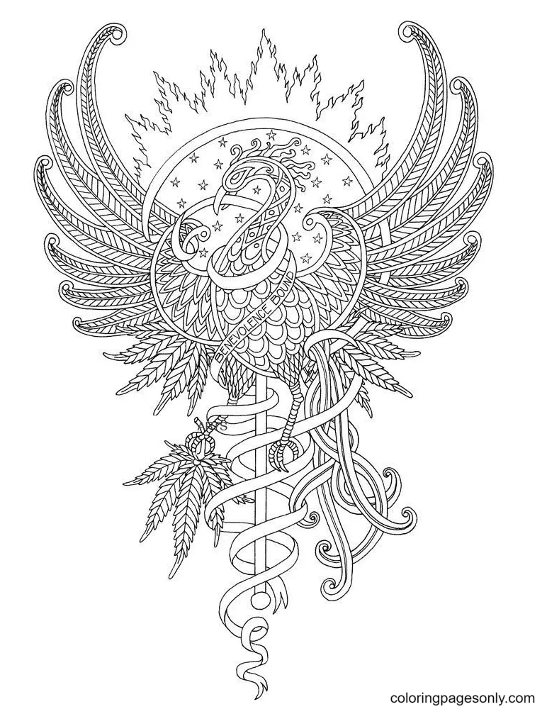 Phoenix Coloring Pages 3