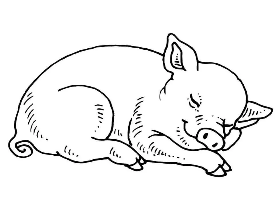 Pig Coloring Pages 17