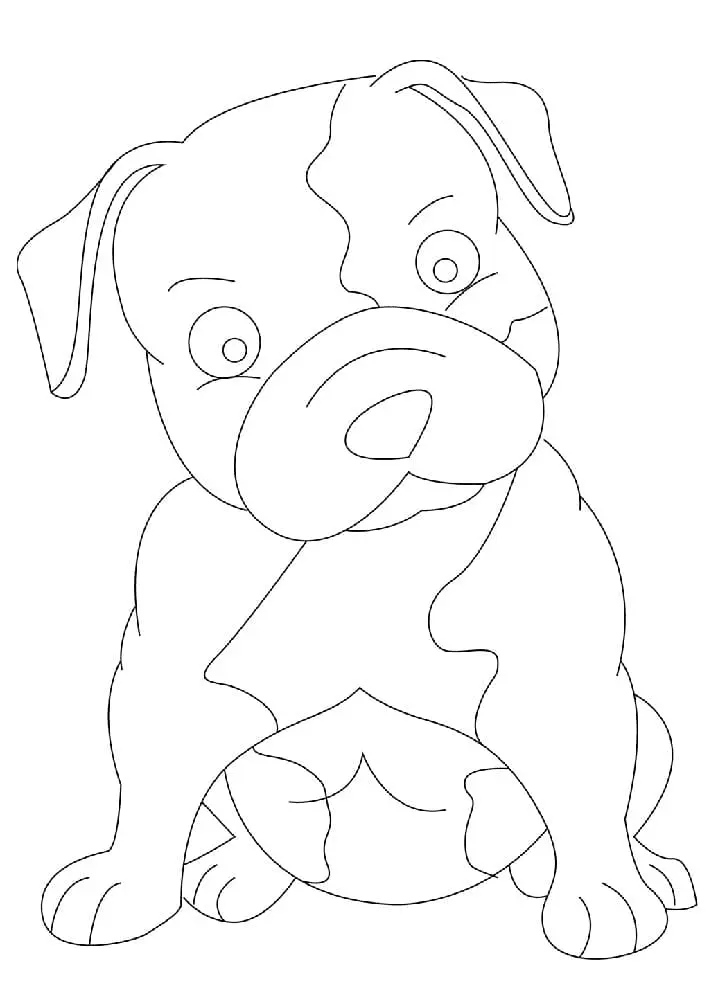 Pitbull Para Colorear 12