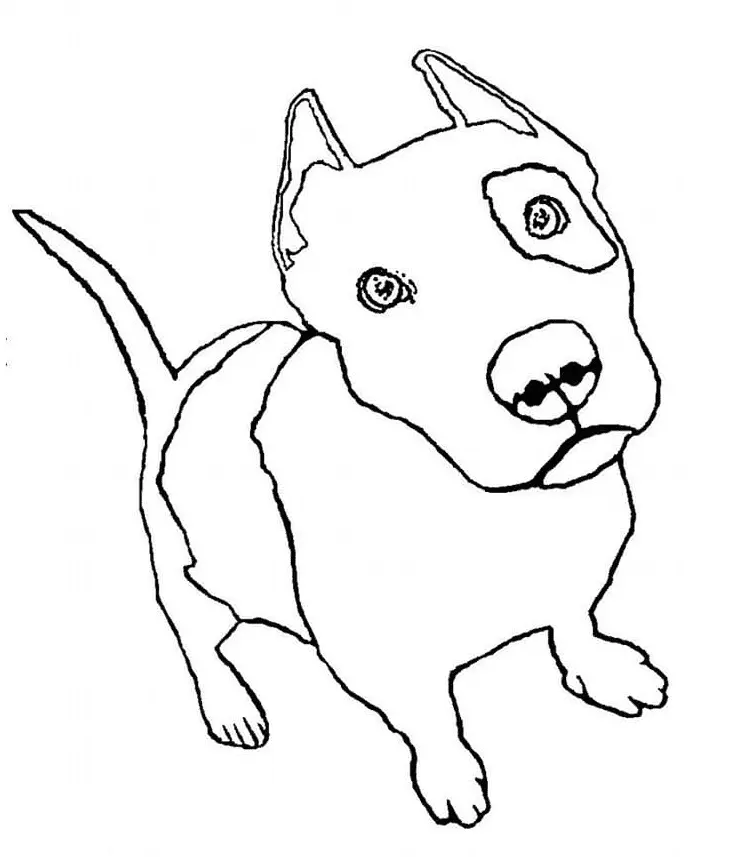 Pitbull Para Colorear 14