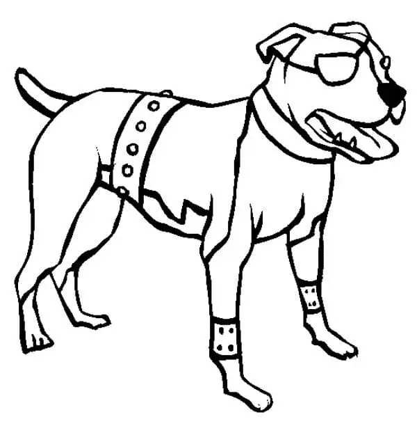 Pitbull Para Colorear 20