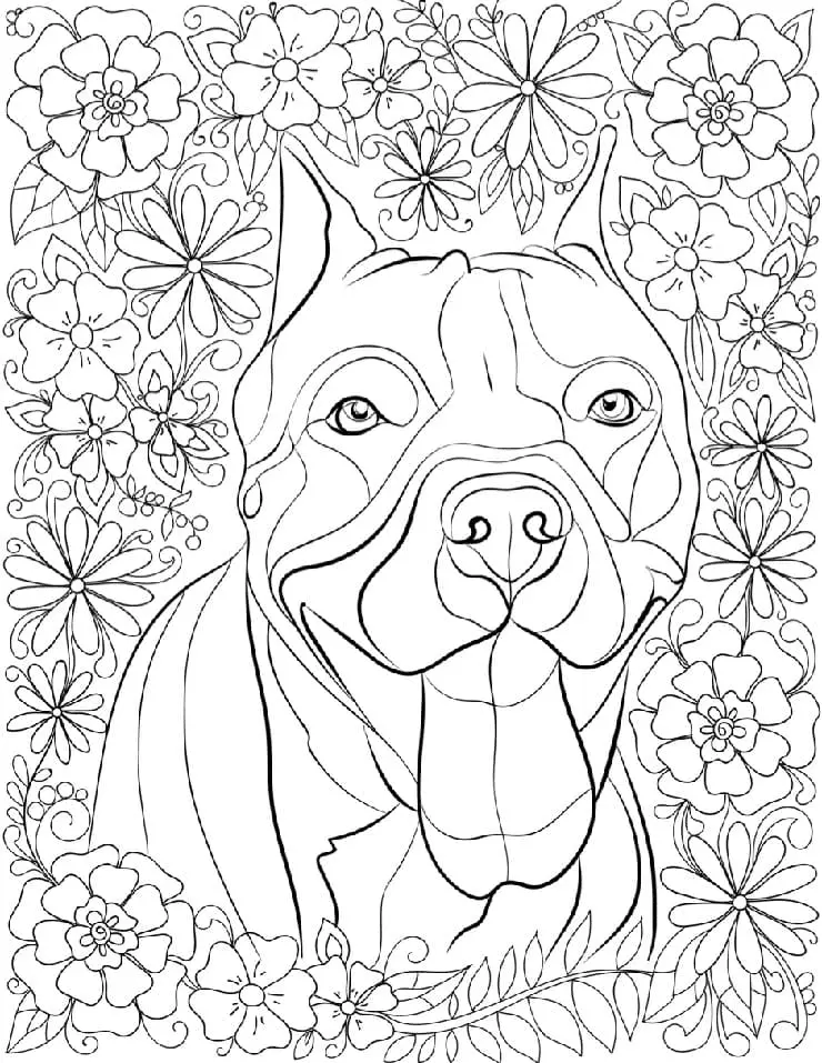 Pitbull Para Colorear 23