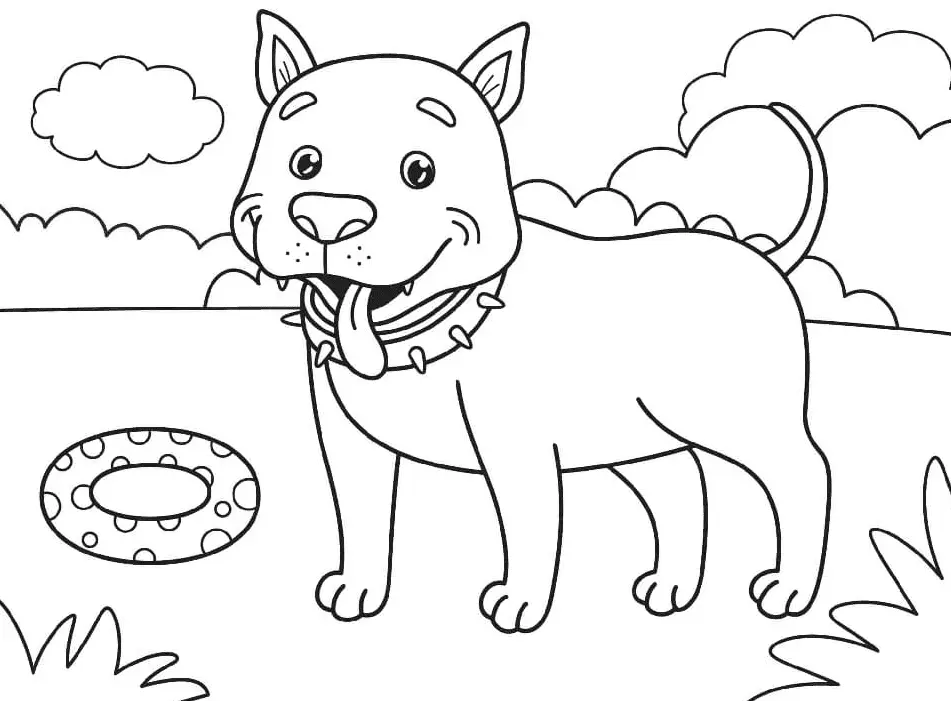 Pitbull Para Colorear