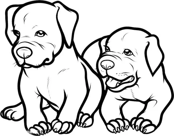 Pitbull Para Colorear 5