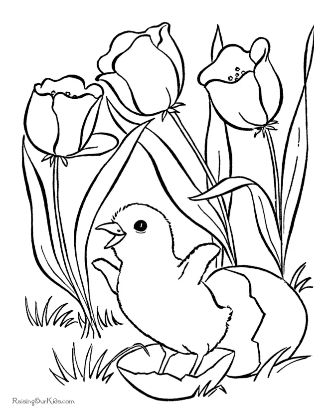 Plants Coloring Pages 32