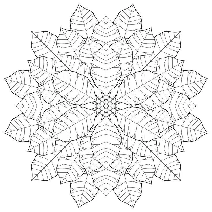 Poinsettia Coloring Pages