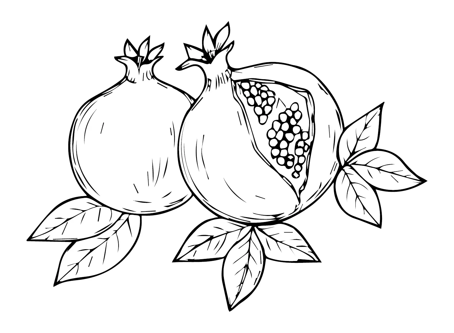 Pomegranate Coloring Pages 10