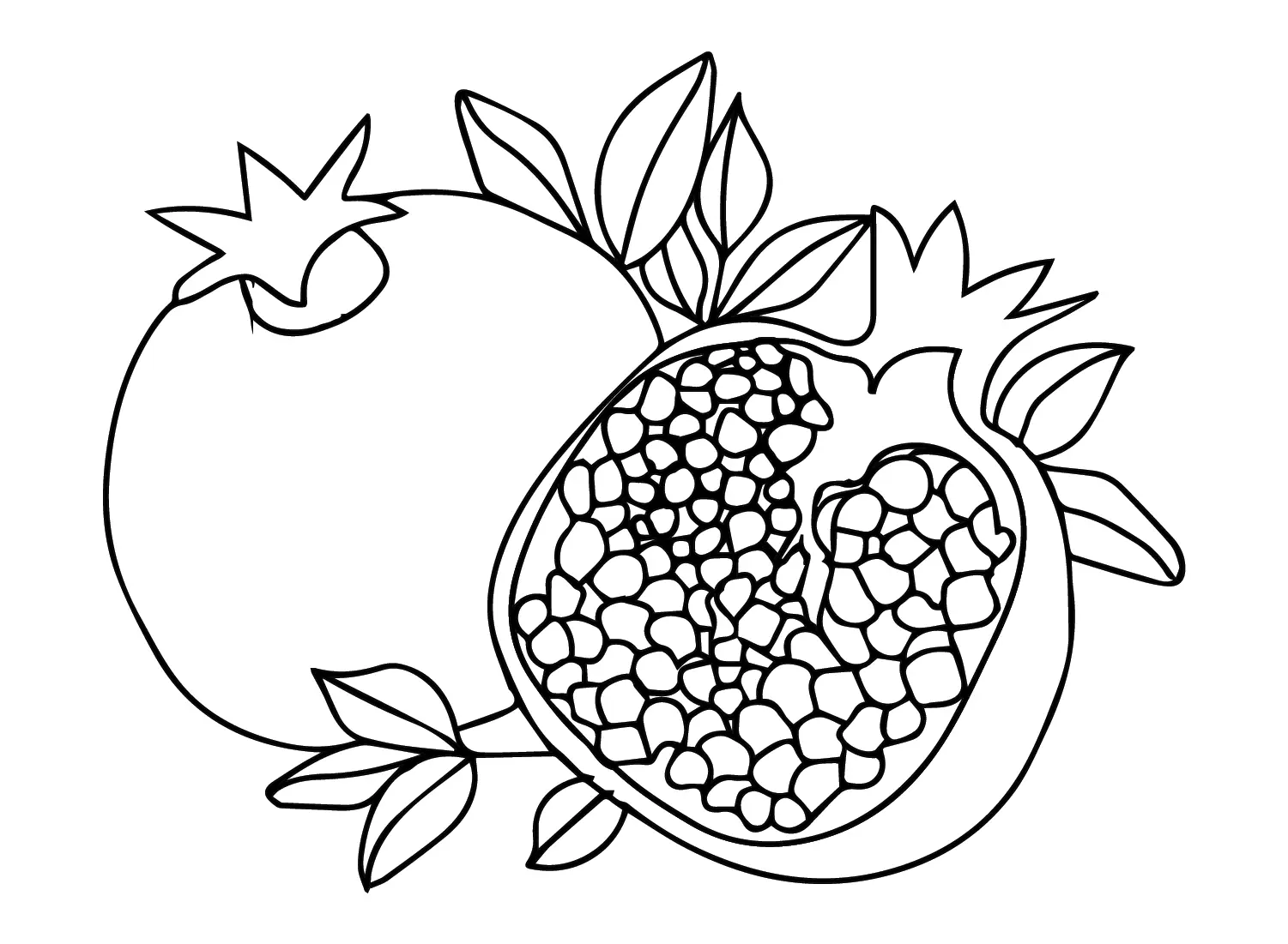 Pomegranate Coloring Pages 16