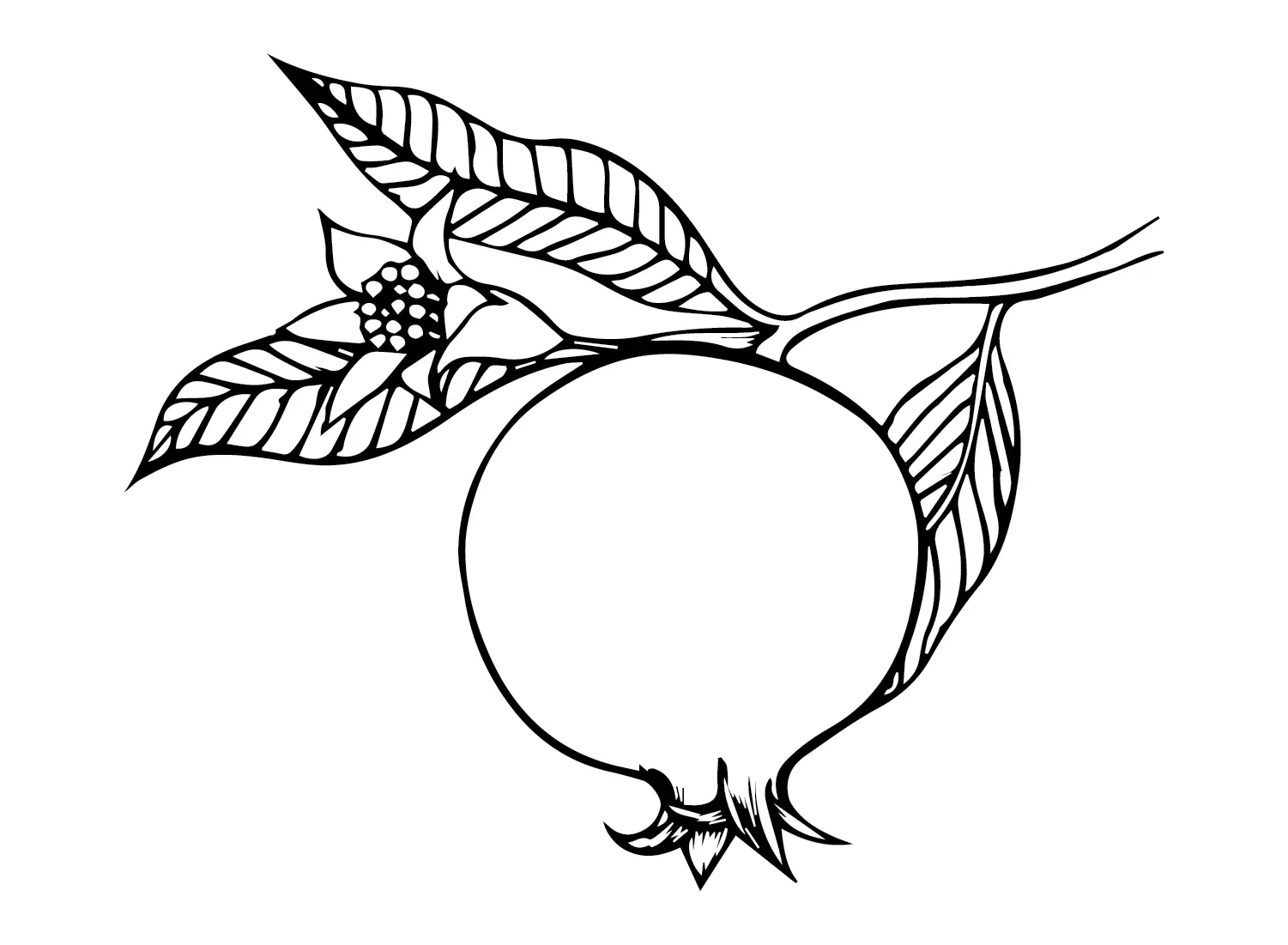 Pomegranate Coloring Pages 17