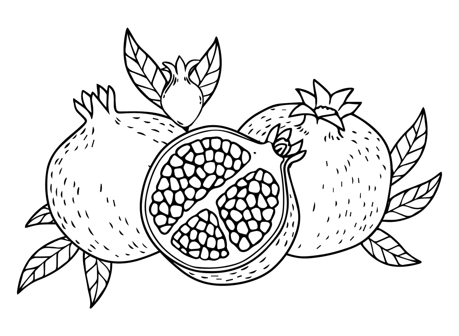 Pomegranate Coloring Pages 19