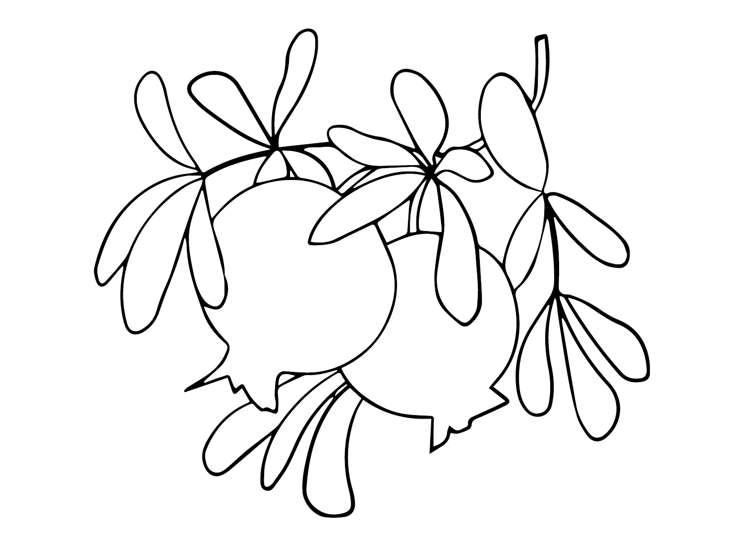 Pomegranate Coloring Pages 27