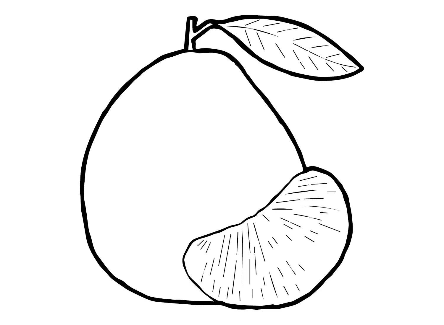 Desenhos de Pomelo Para Colorir