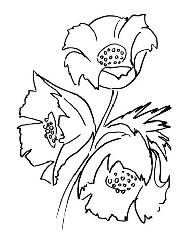 Poppies Coloring Pages